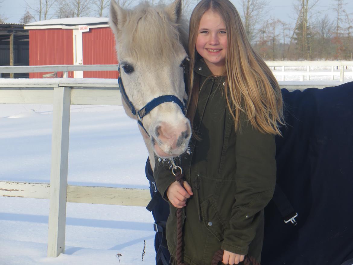 Anden særlig race Bolero billede 5