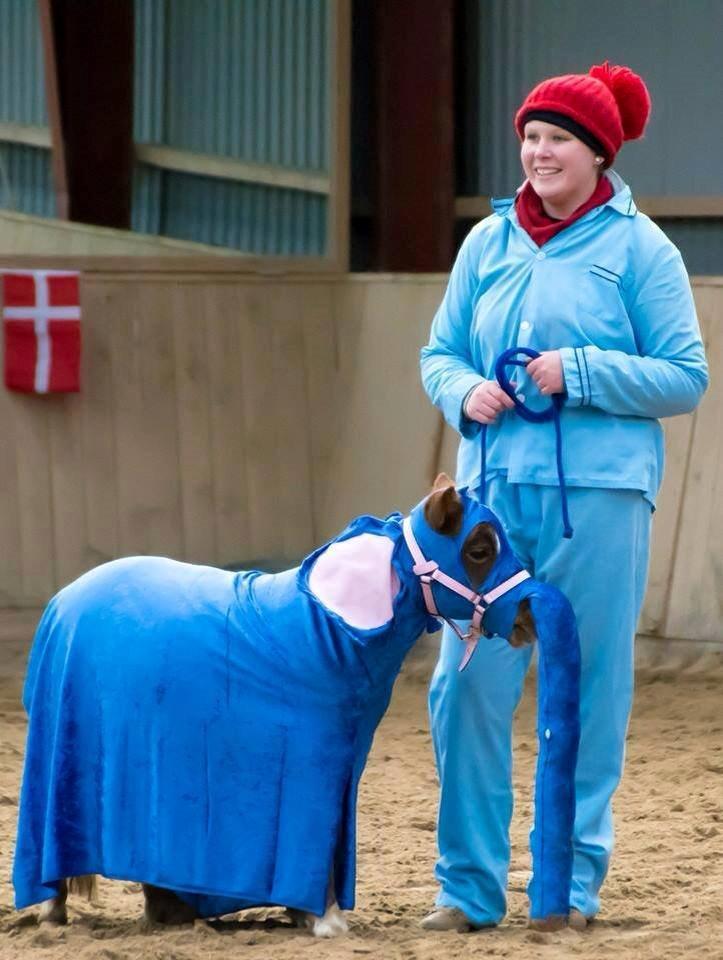 Miniature Egehøj´s Prestige Paranoia - Noia, som "Lille-Per & Bodil" Grejs Juleshow billede 17