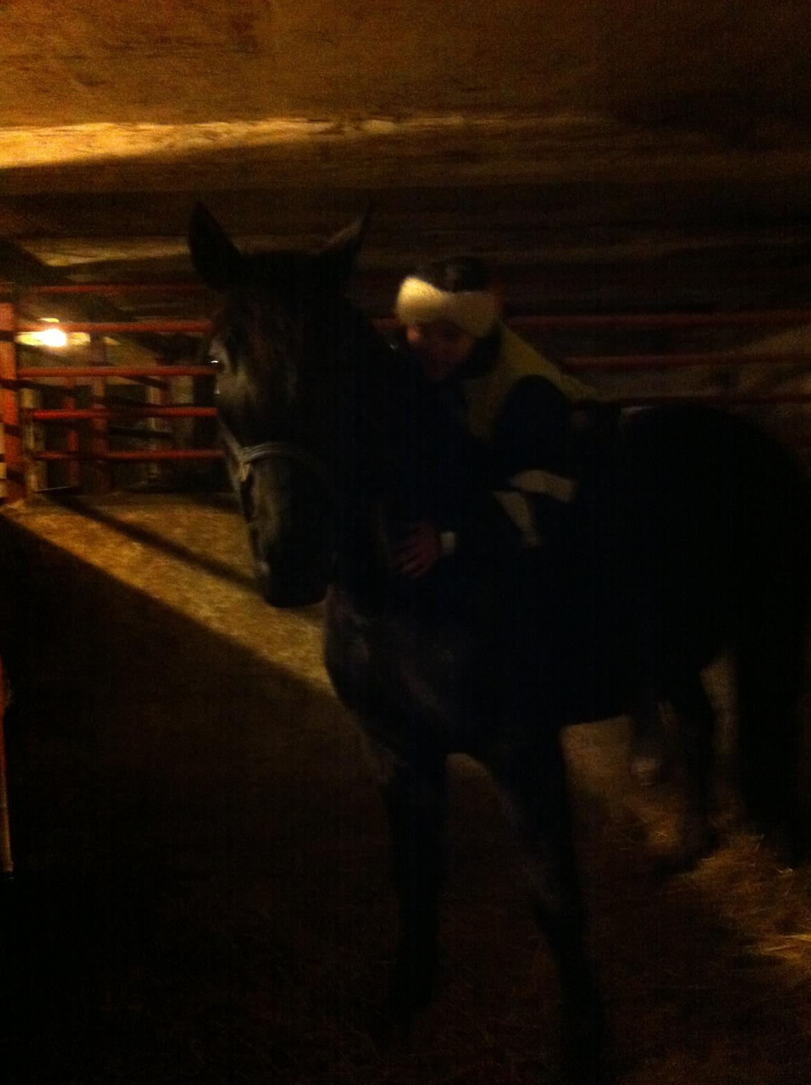 Traver Greenhill's tiger billede 18