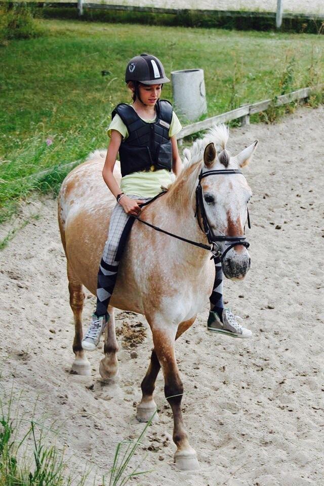 Anden særlig race Sille - ridelejr 2014 billede 7