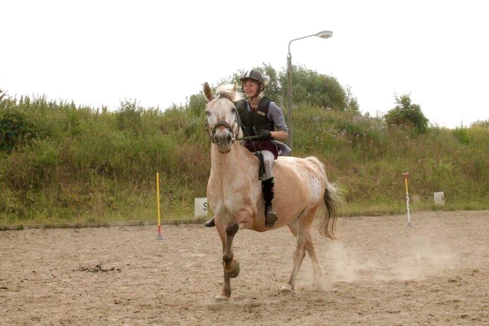 Anden særlig race Sille - ridelejr 2014 billede 12