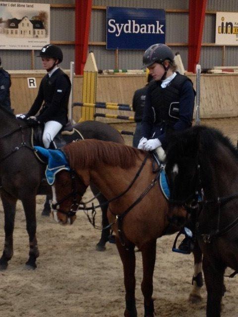 Tysk Sportspony Duchess [Heidi Vinderpony!] Solgt - 0 fejl og roset  billede 22