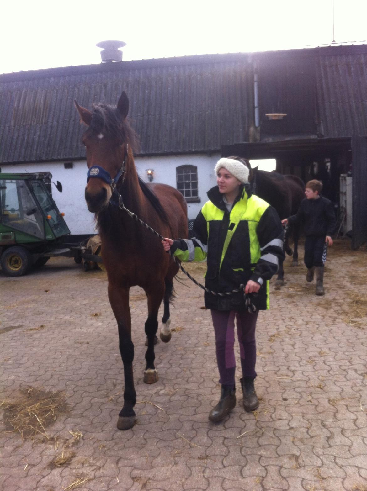 Traver Arn Kronos billede 16