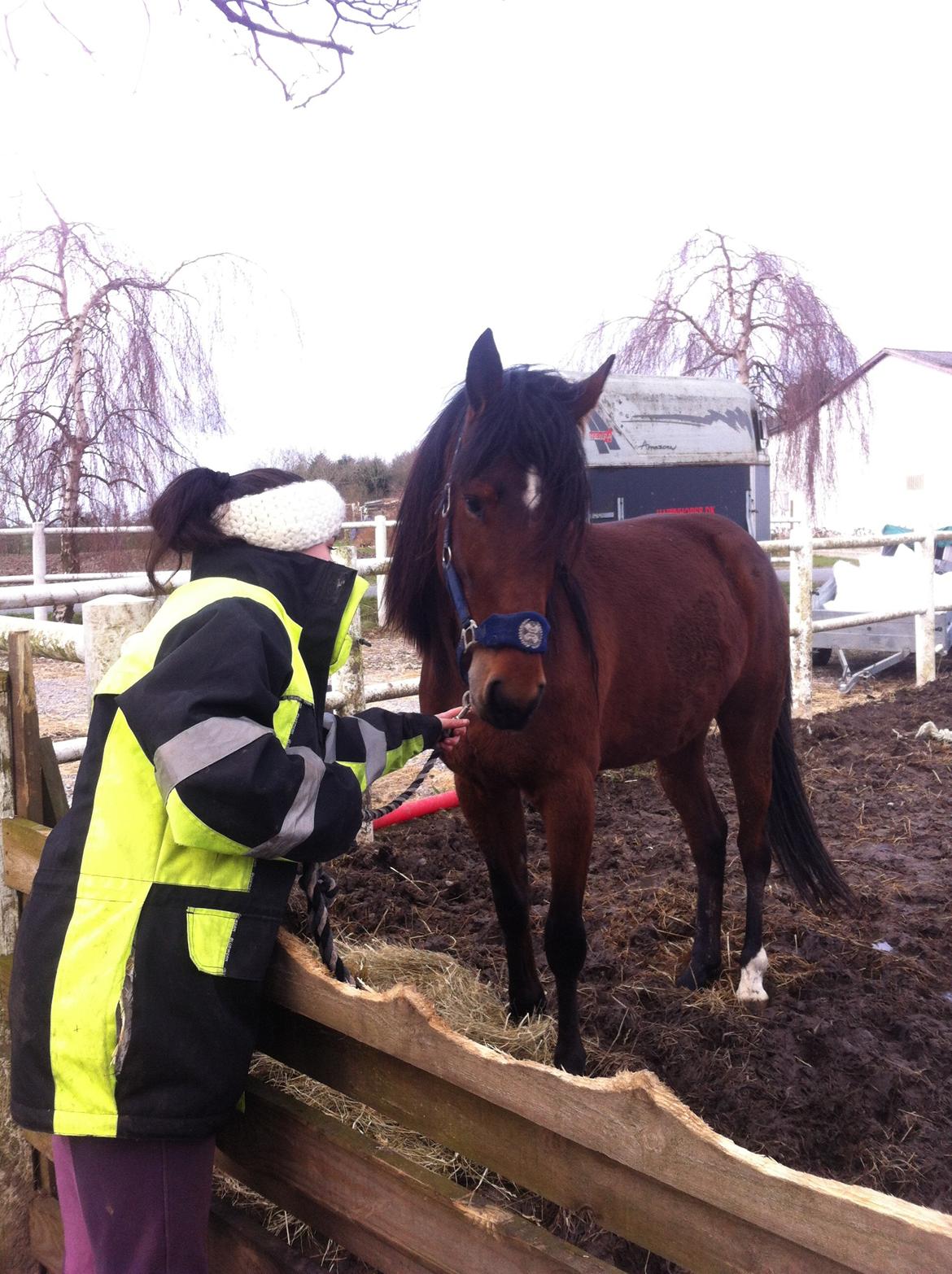 Traver Arn Kronos billede 17