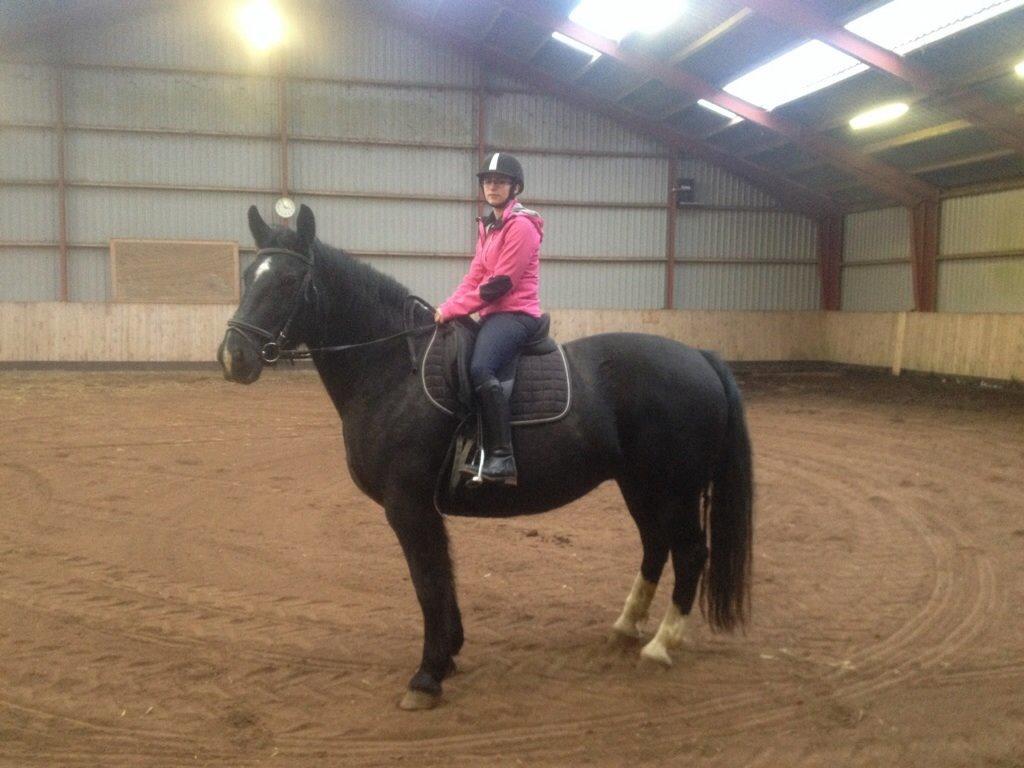 Oldenborg Tina Donholm - Første gang jeg var oppe på hende billede 2