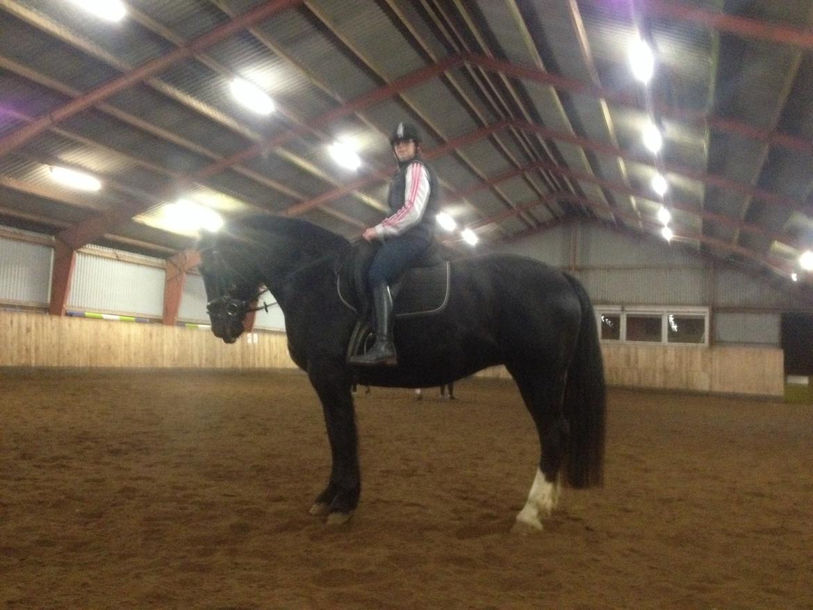 Oldenborg Tina Donholm - Efter en god ridetime billede 4