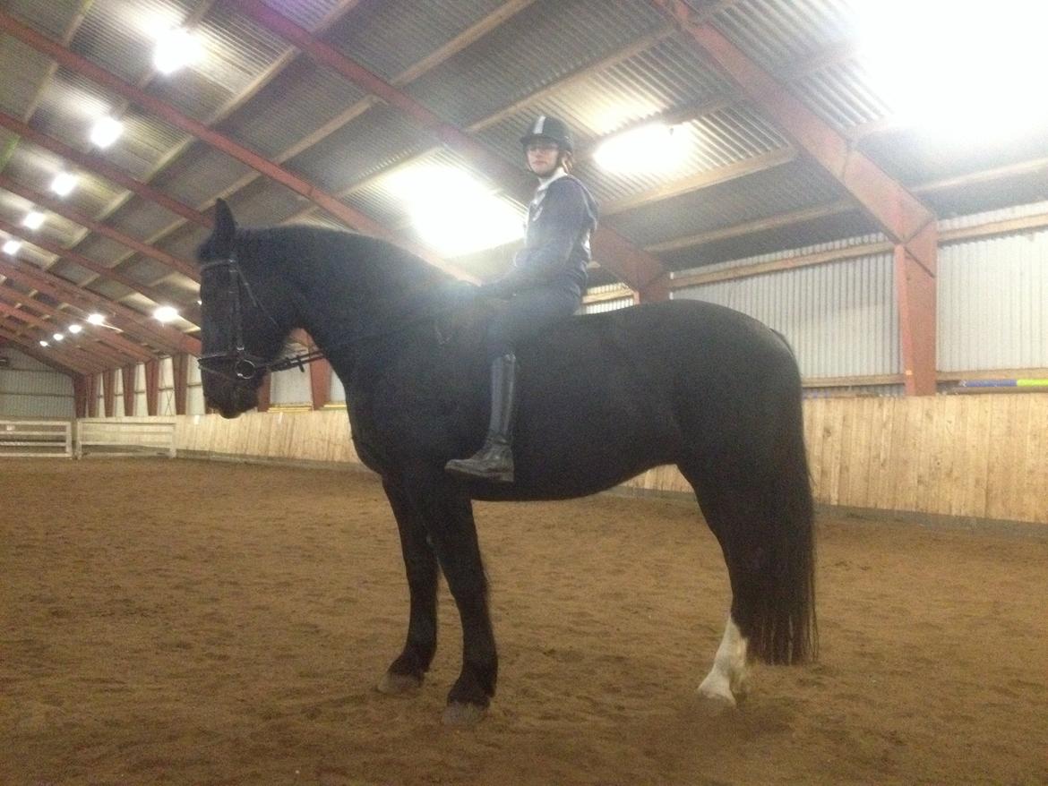 Oldenborg Tina Donholm - Første gang uden sadel  billede 6