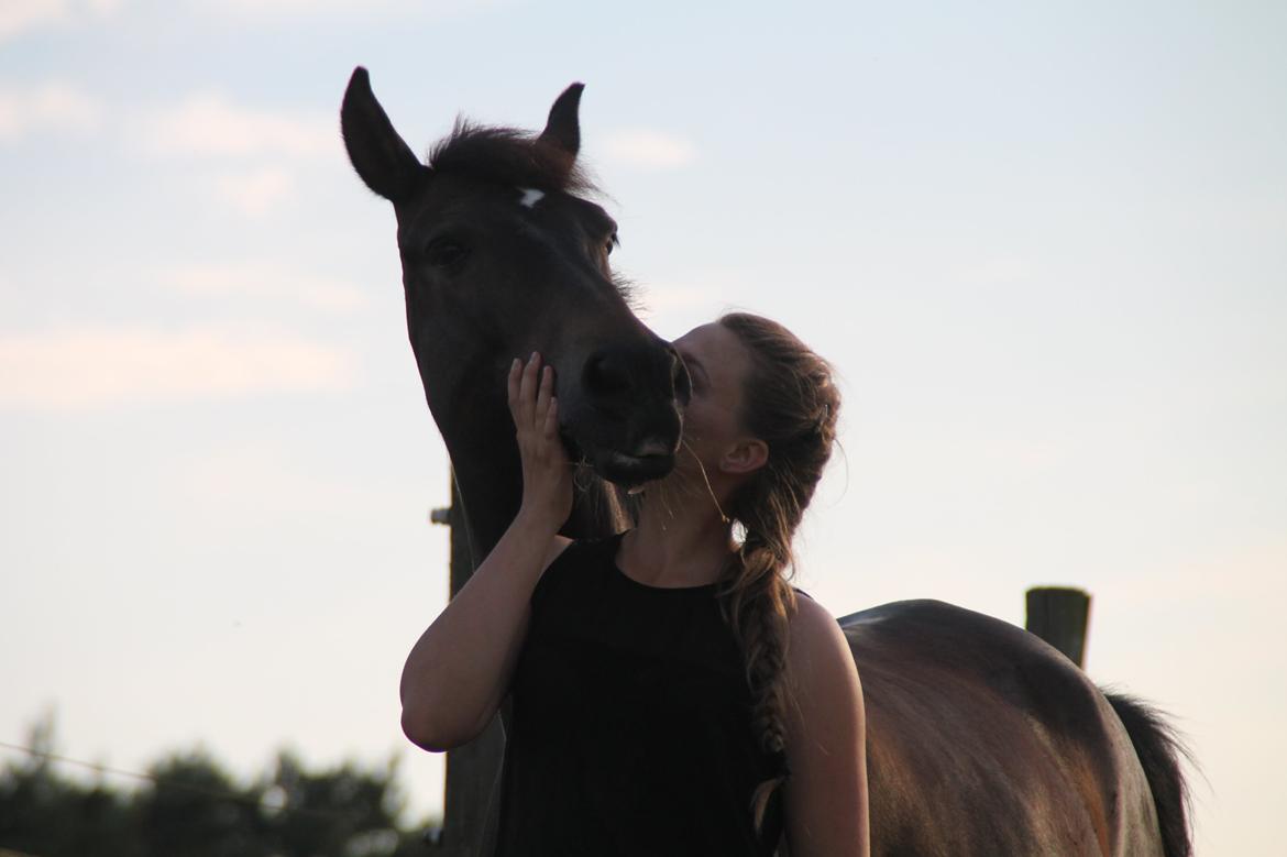 New Forest Elmholts Furore  - Et billedet siger mere en tusinde ord! Tak for alt min prins <3 billede 18