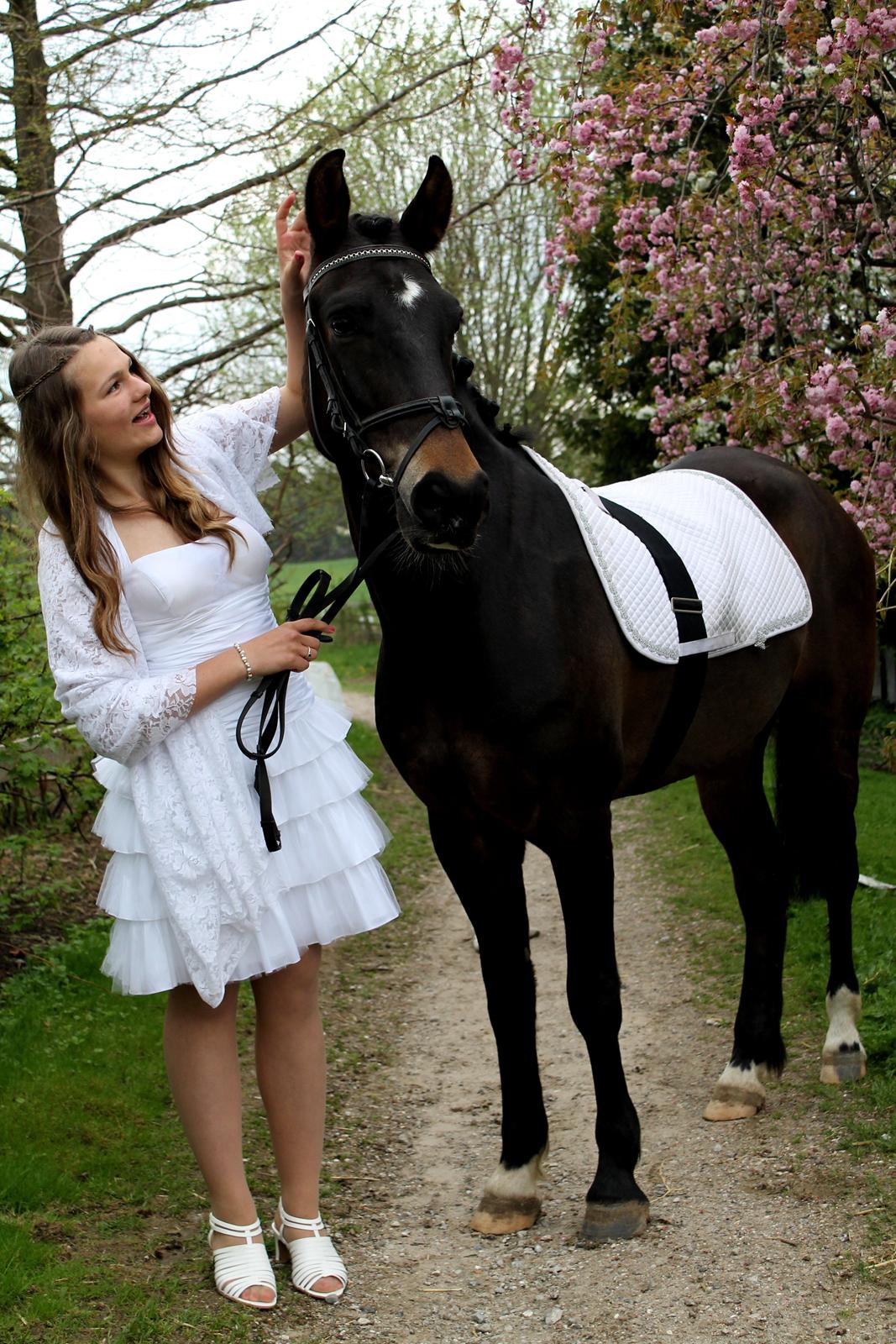 New Forest Elmholts Furore  - Min baby! billede 3