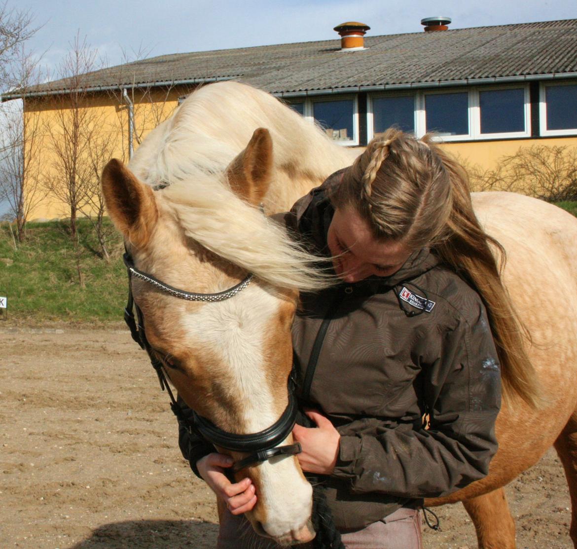 Palomino Kjærgaards Golden Champ - D. 2. april 2015 billede 22