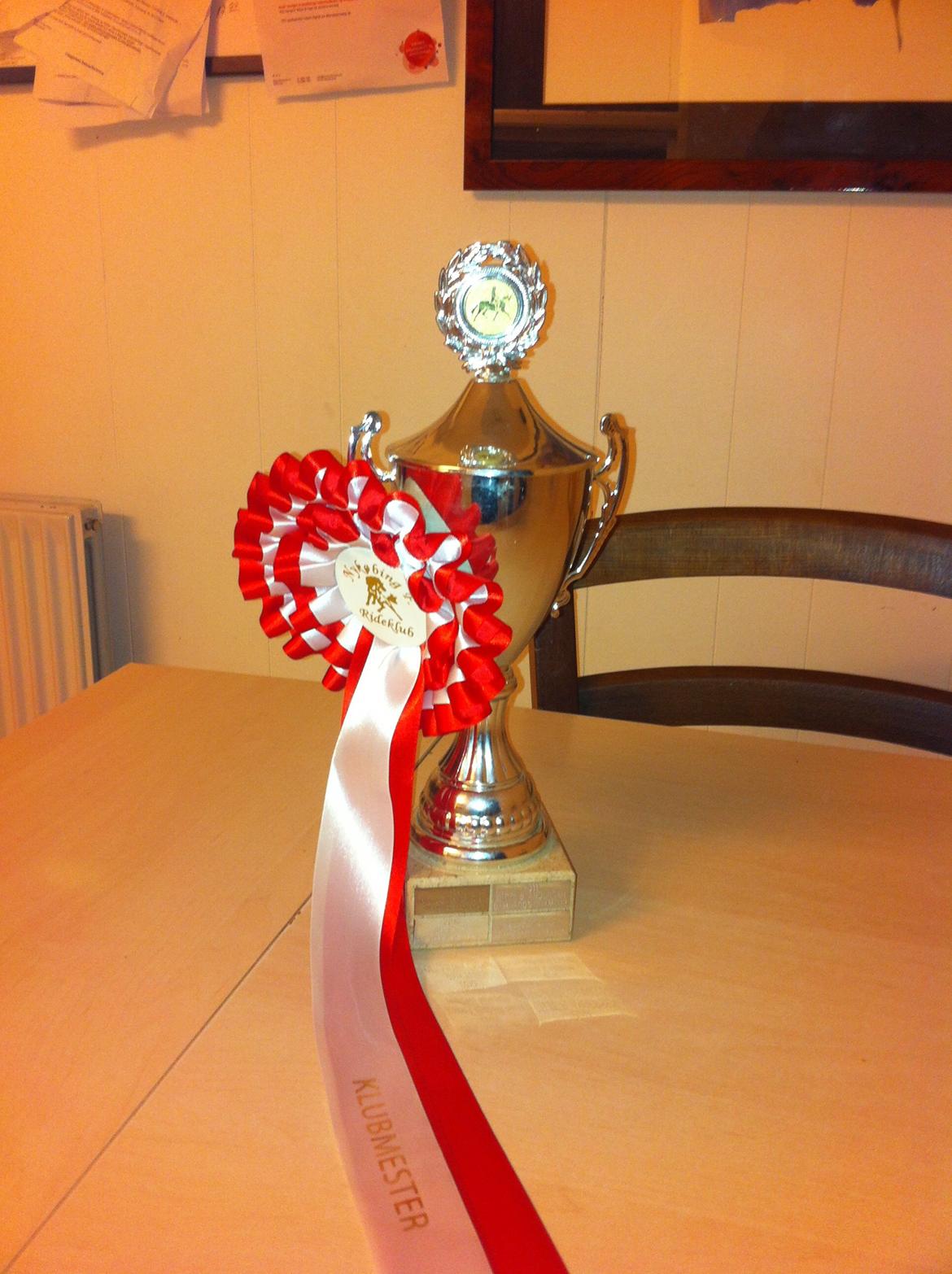 Dansk Varmblod Druebrogård's colibri billede 19