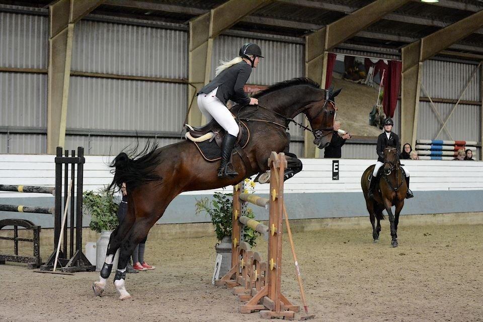 Holstener CHAIO billede 13