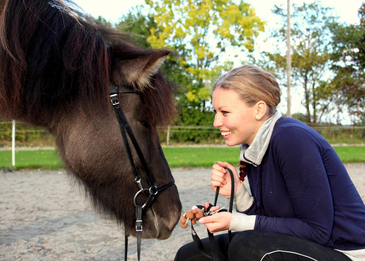 Islænder Perla fra Linå Mark billede 14