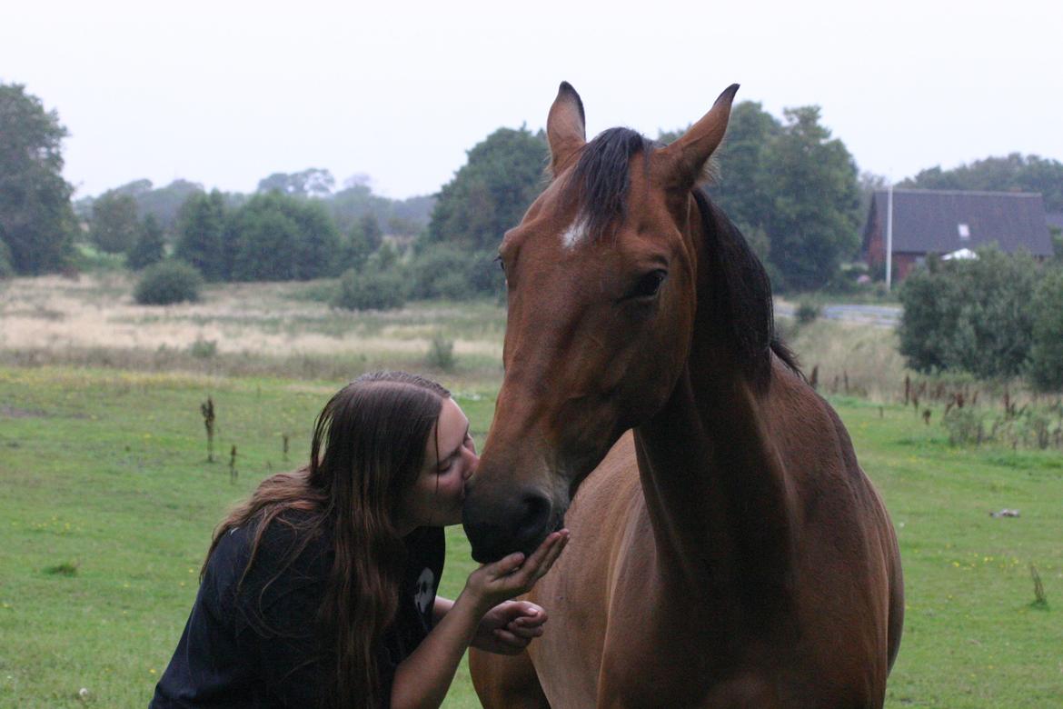 Anden særlig race Kaliffen (Givet Væk) *For Evigt Elsket <3* - Inden Liffen og mig virkelig begyndte at kunne lide hinanden :D (August 2009) billede 49