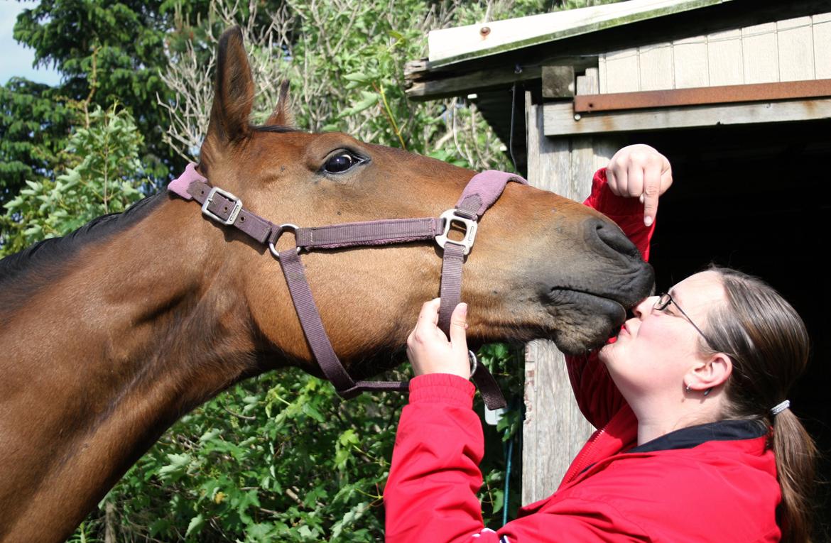 Anden særlig race Kaliffen (Givet Væk) *For Evigt Elsket <3* - Mys :D (Maj 2011) billede 37