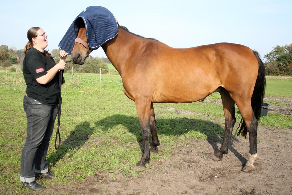 Anden særlig race Kaliffen (Givet Væk) *For Evigt Elsket <3* - Ha ha, øver tillidstræning med Liffen :D (Oktober 2011) billede 43