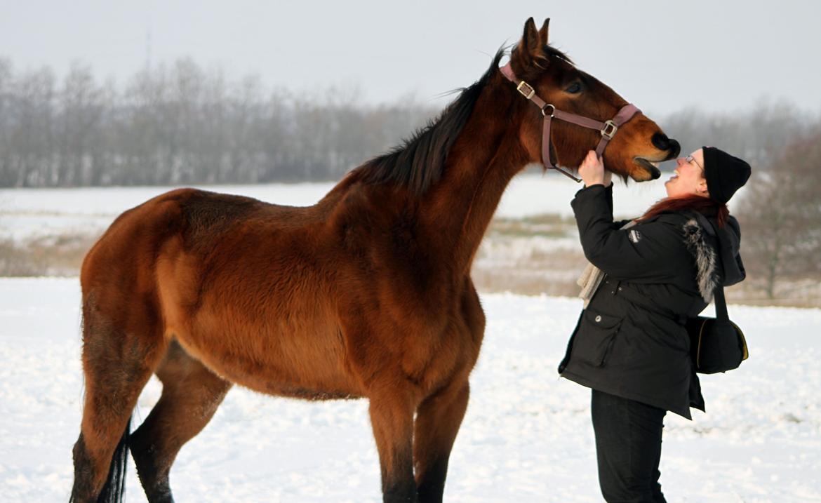 Anden særlig race Kaliffen (Givet Væk) *For Evigt Elsket <3* - Min prinse mand :) (Januar 2012) billede 41