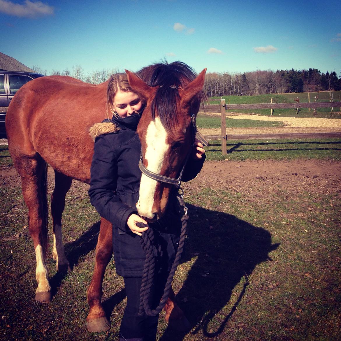 Anden særlig race Tekanze ( SENDT TILBAGE) billede 1