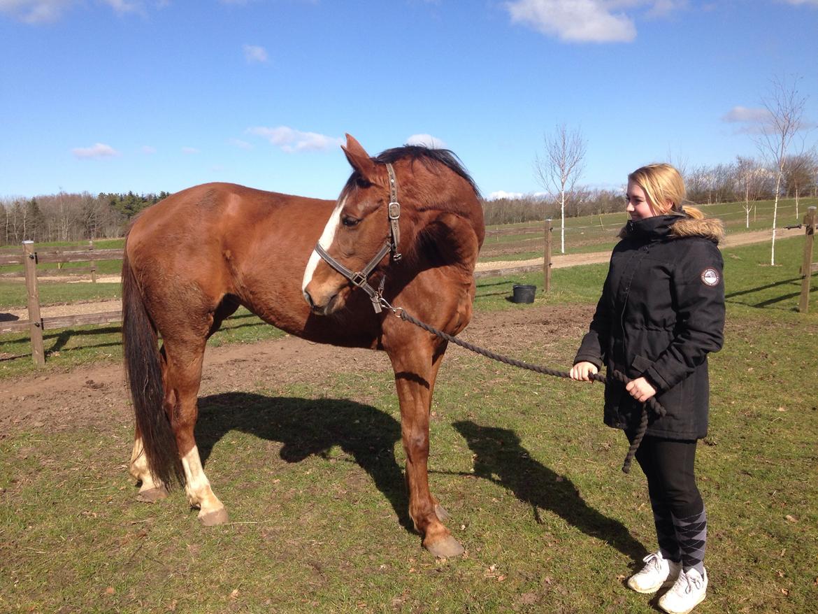 Anden særlig race Tekanze ( SENDT TILBAGE) billede 2