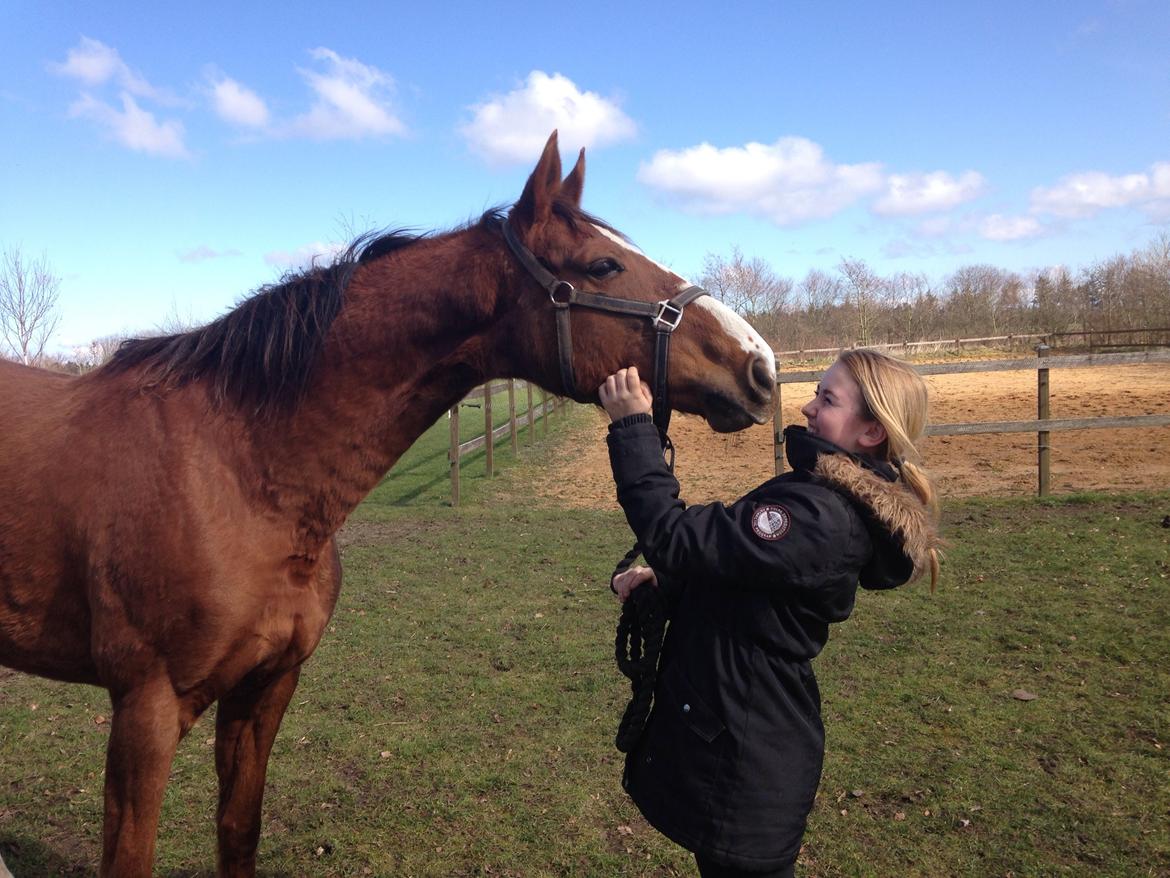 Anden særlig race Tekanze ( SENDT TILBAGE) billede 3