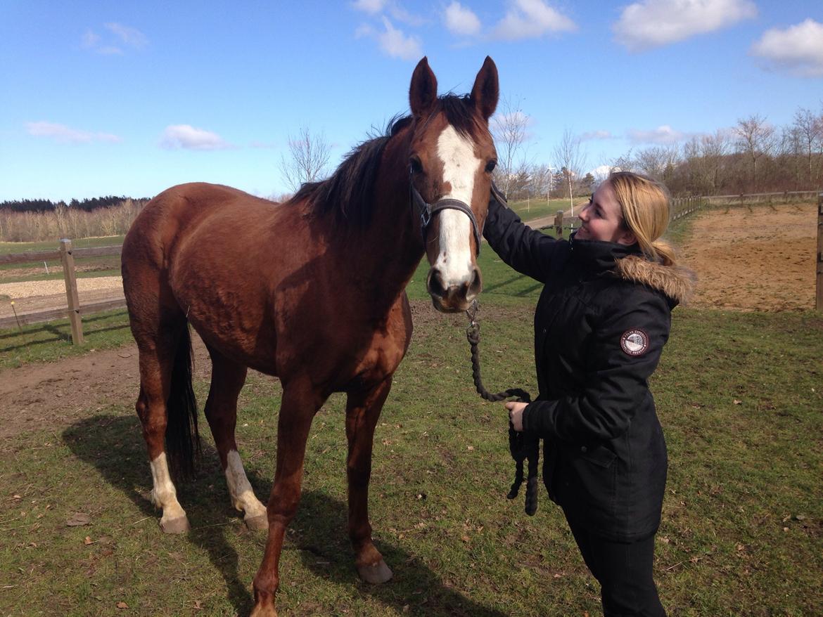 Anden særlig race Tekanze ( SENDT TILBAGE) billede 4