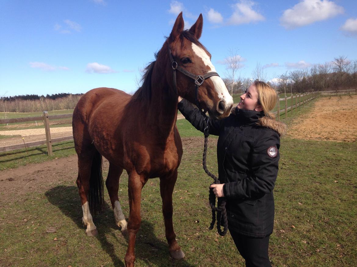 Anden særlig race Tekanze ( SENDT TILBAGE) billede 7