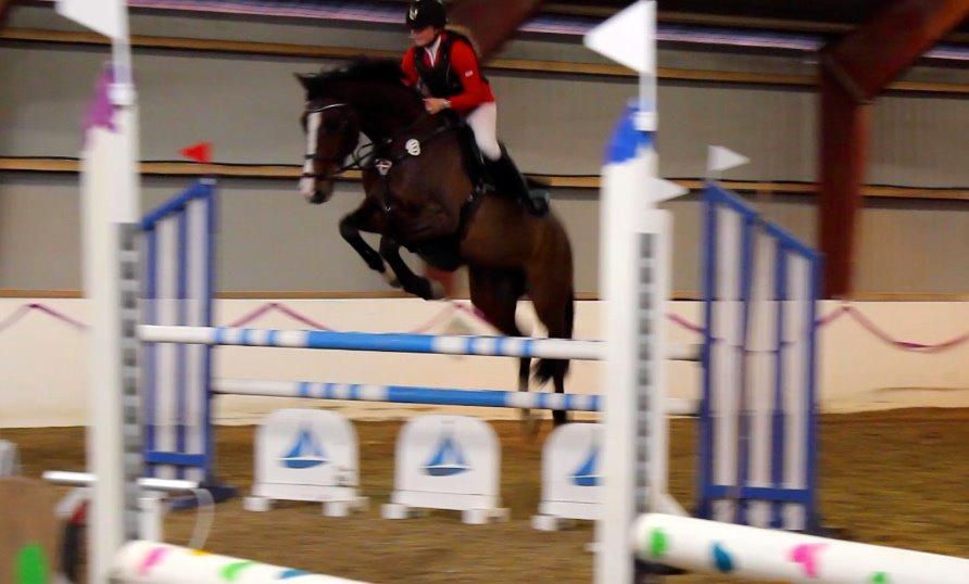 Holstener Wivara II billede 17