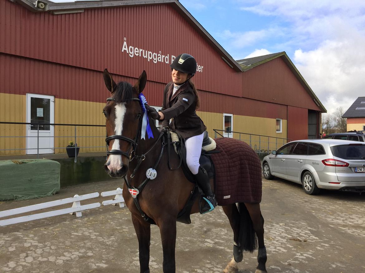 Holstener Wivara II - Den eneste  billede 18