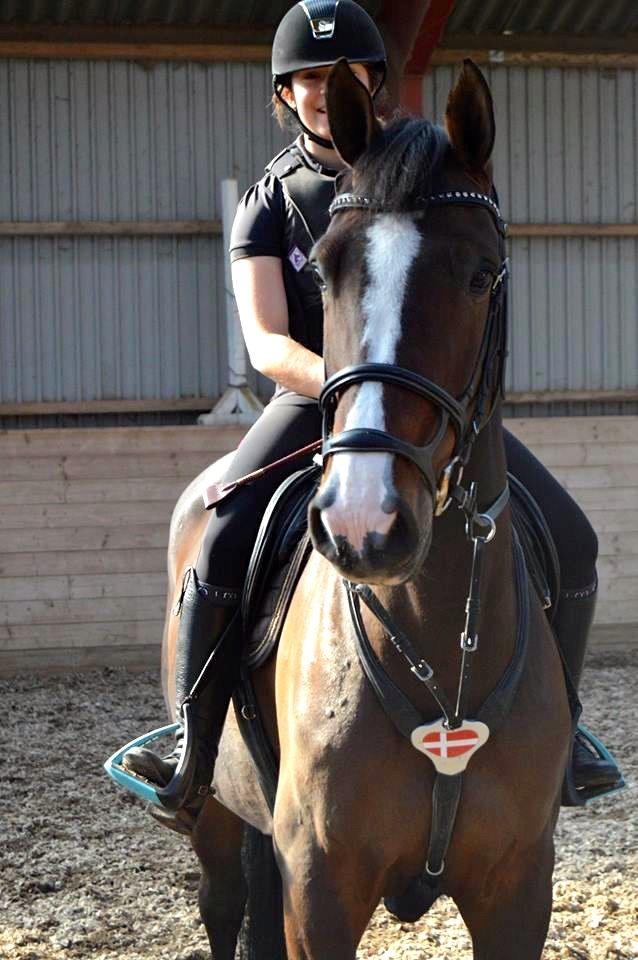 Holstener Wivara II billede 1