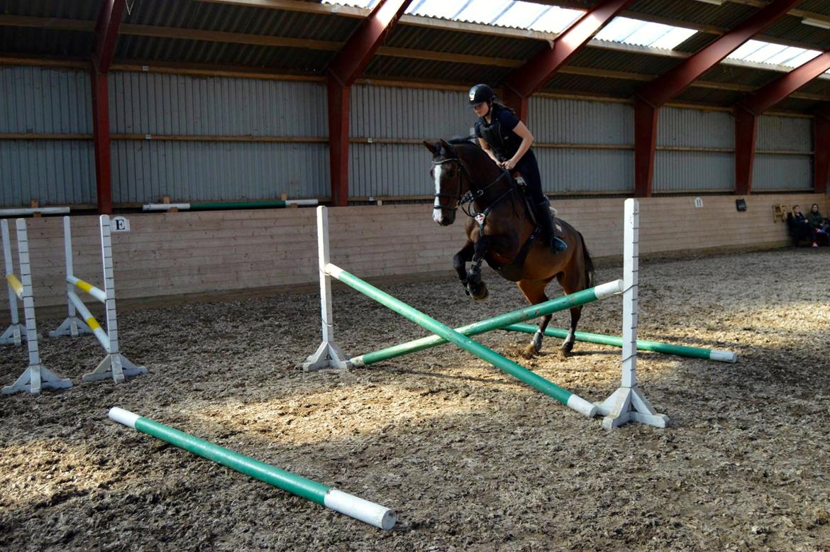 Holstener Wivara II billede 14