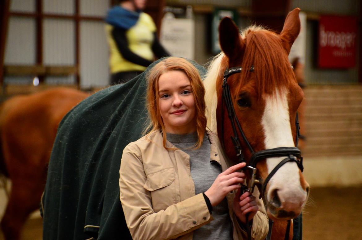 Pinto Taico  billede 2