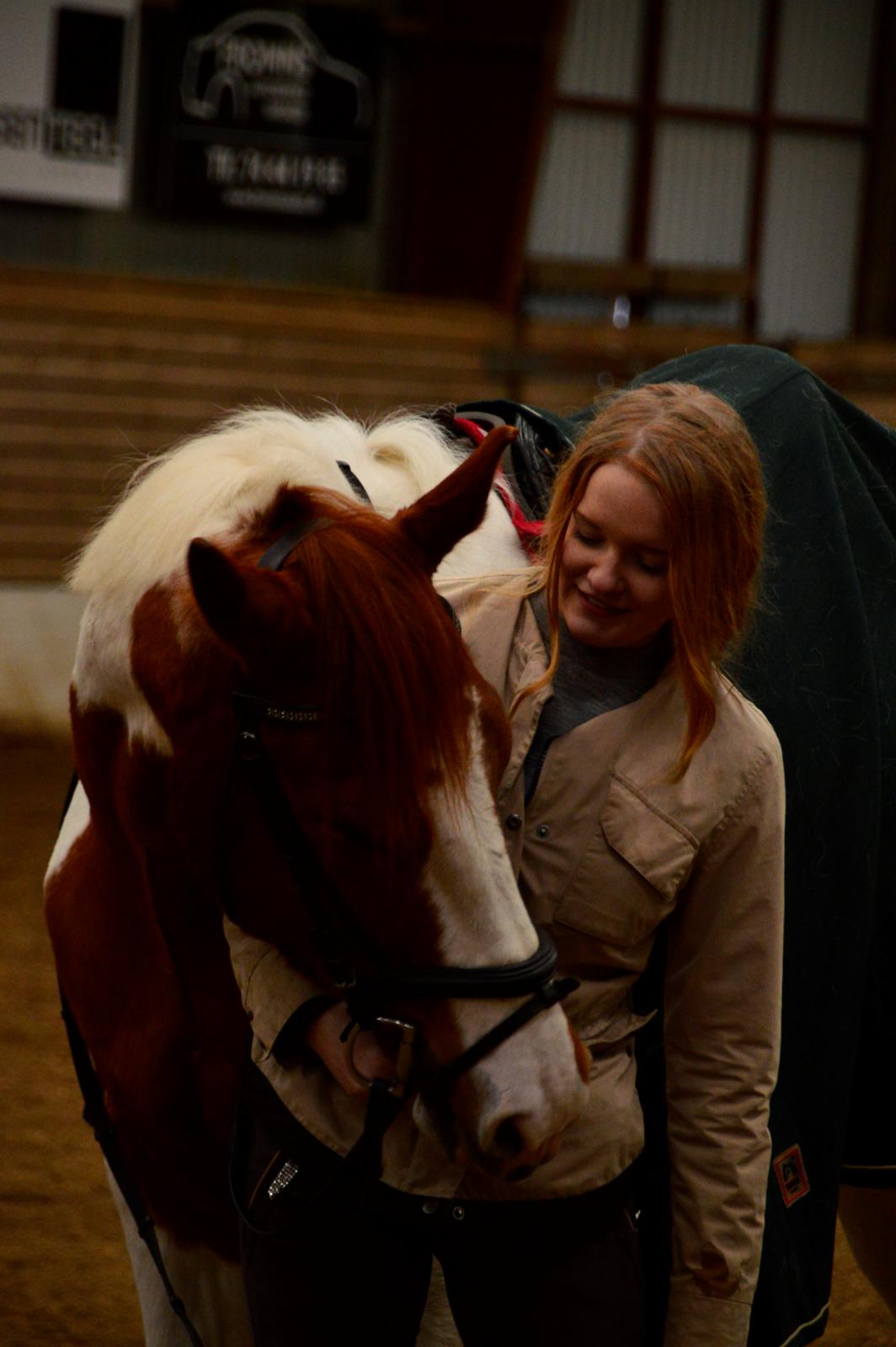 Pinto Taico  billede 20
