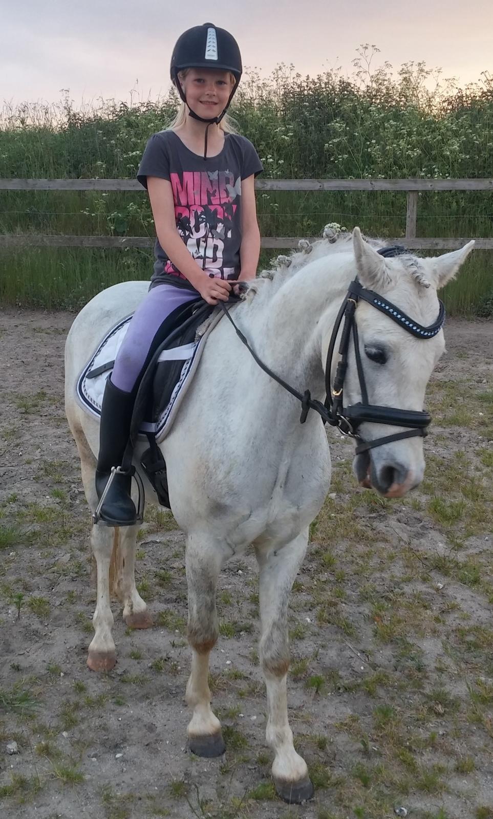 Welsh Pony (sec B) Serenity D - 1. tur på Serenity ude hos sælgeren billede 6