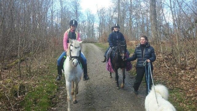 Welsh Pony (sec B) Serenity D - På skovtur med en anden Welsh. Lillebror er også med på den anden  billede 2