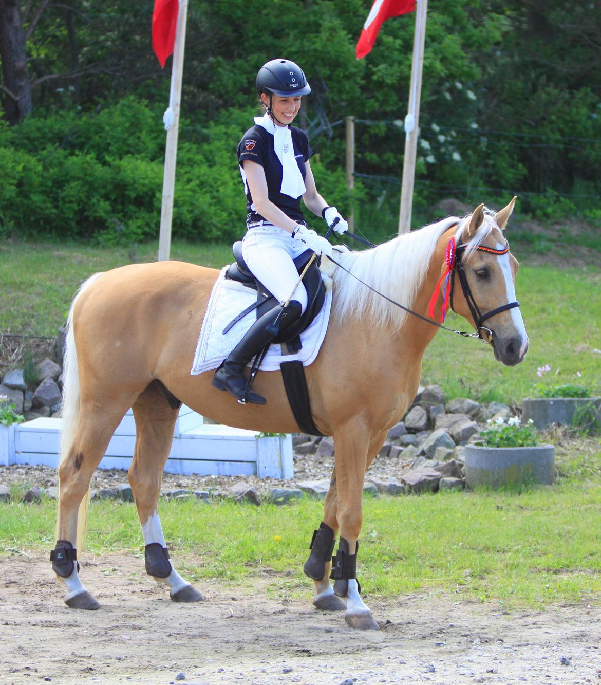Palomino Billy the kid - Stævne NIR juni 2013 - Fejlfri i LE spring billede 43