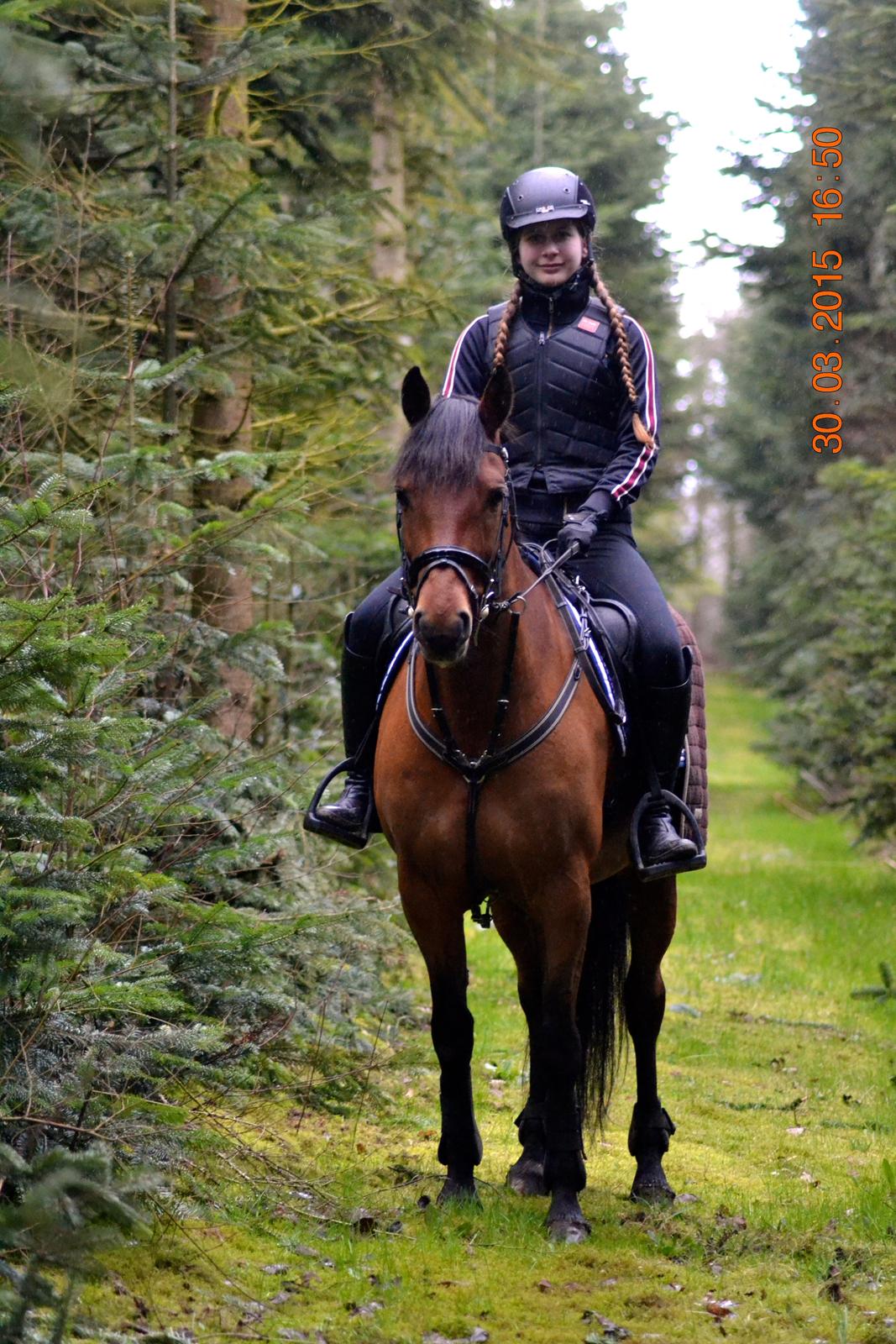 DSP Nikita billede 12