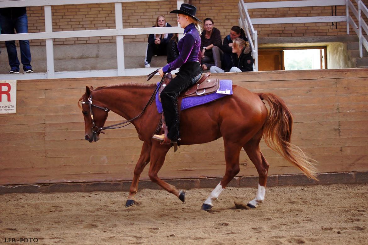 Quarter Starlight Xpress - Sød og nuttet (og overhovedet ikke slow ;-)) galop i vores første rideklasse til DM 2014. billede 5