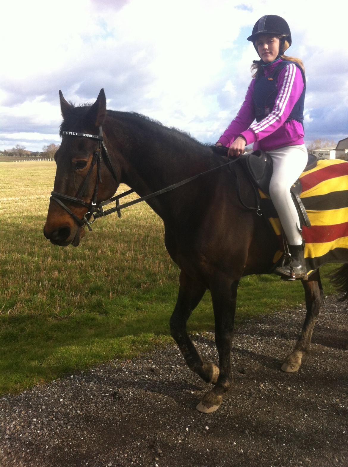 Traver Leroy Hall billede 23