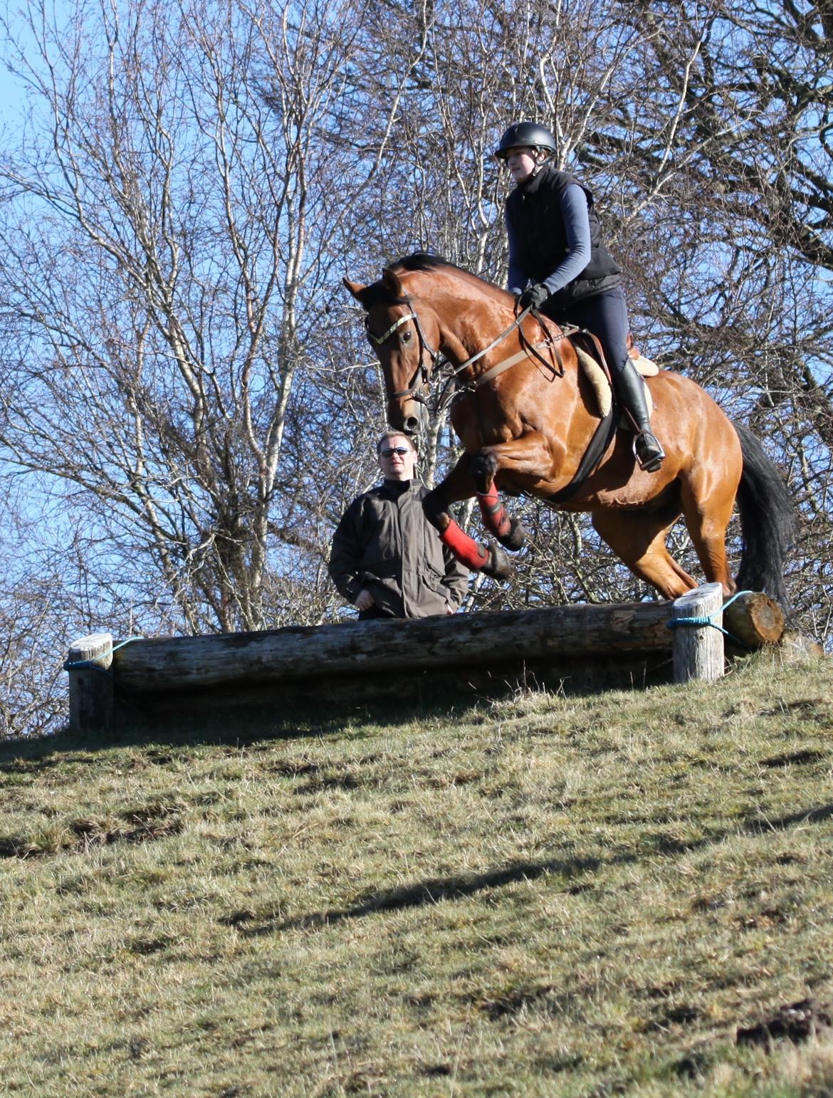 Hollandsk Varmblod Uriel G aka Rasle billede 7