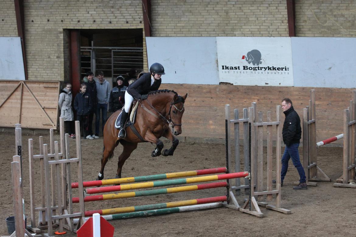 Hollandsk Varmblod Uriel G aka Rasle billede 15