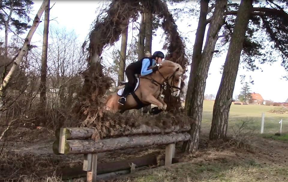 Anden særlig race Maggie Stensbæk | military A-PONY - Første terræn træning sammen, Tågarportens Ryttärforening,  14/03/15 billede 18