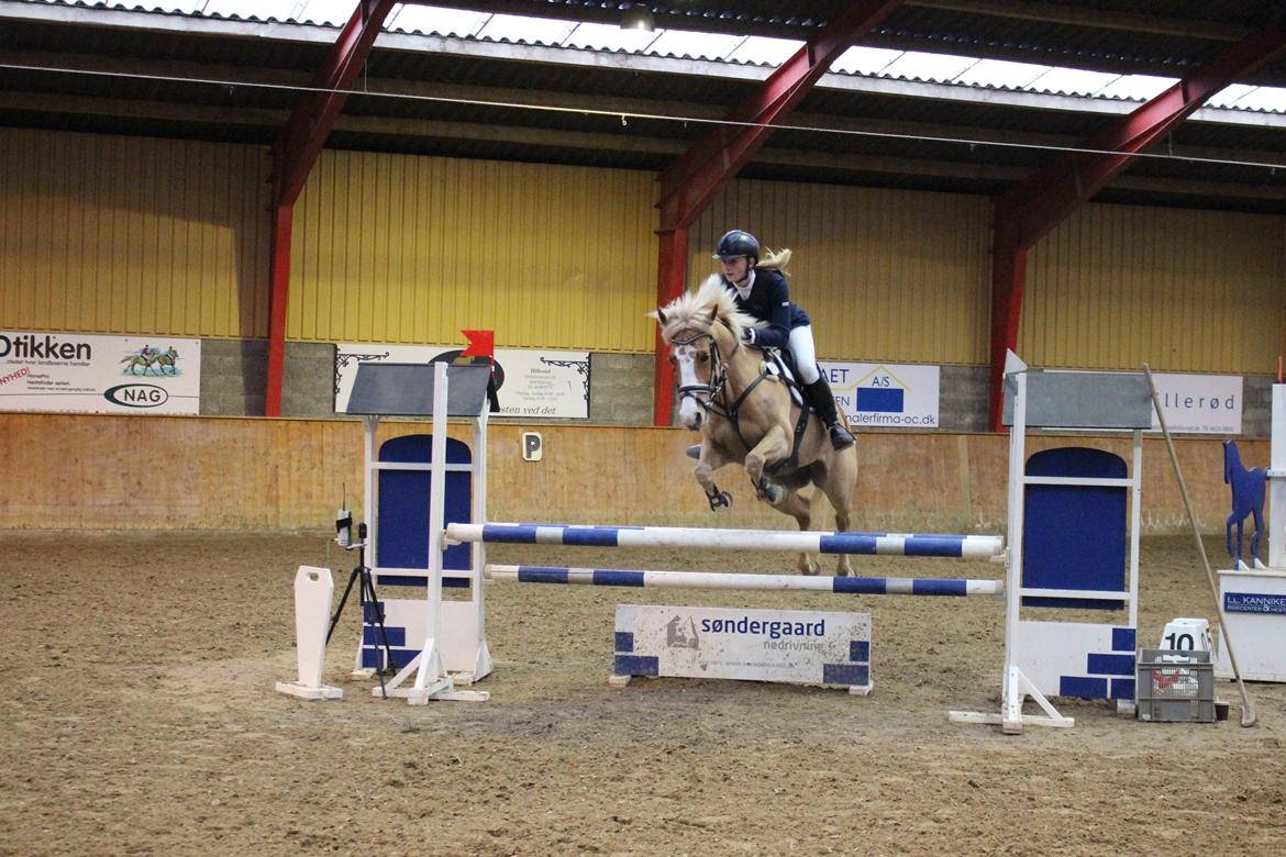 Anden særlig race Maggie Stensbæk | military A-PONY - C-stævne på HIS, 31/01/15, LA* 2. plads billede 13