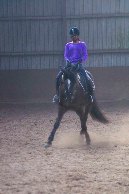 New Forest Elmholts Filicia - Schenkelvigning på flodhesten d. 4 april 2015♥ billede 3