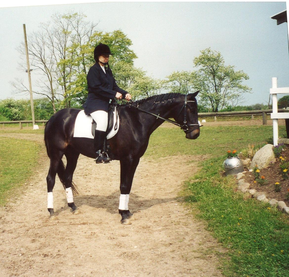 Anden særlig race Athena RIP <3 elsket og savnet - Athena og jeg til vores første stævne 2003 billede 30