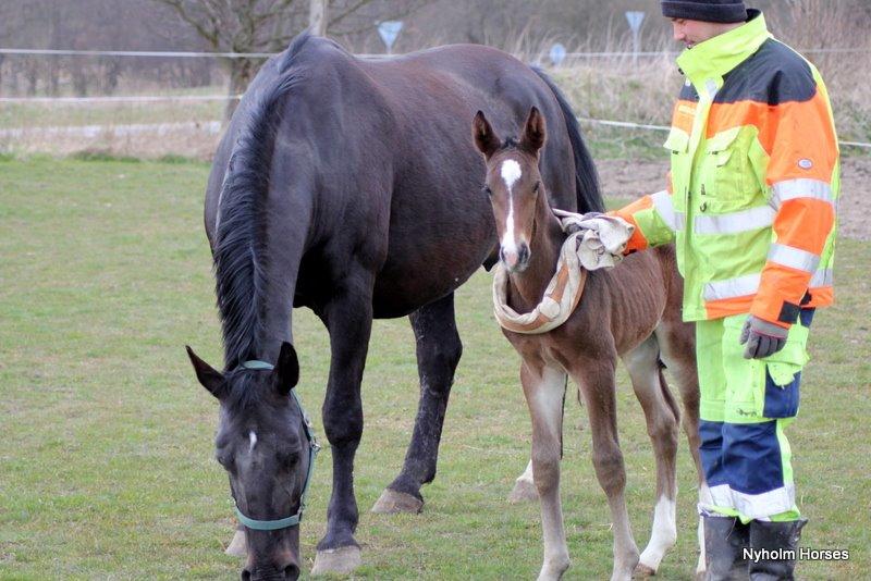Oldenborg Sjasmina Nyholm billede 5