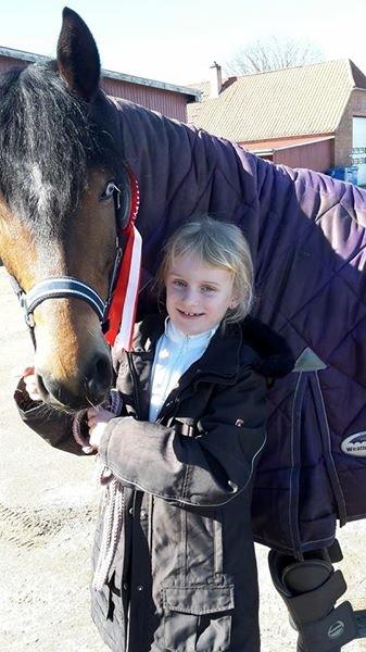 New Forest Stemar´s Blue Eye billede 1