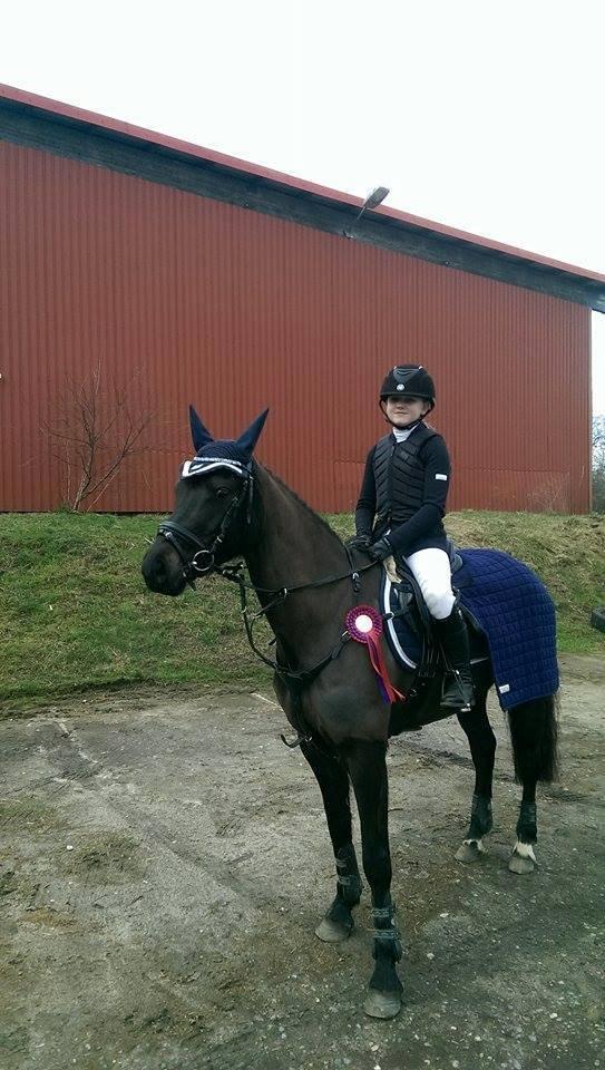 DSP Bakkegaarden's Mrs Magic - Magic og hendes ejer Emilie efter et halvt år sammen, og så starter de LB spring! Så sejt!! billede 19