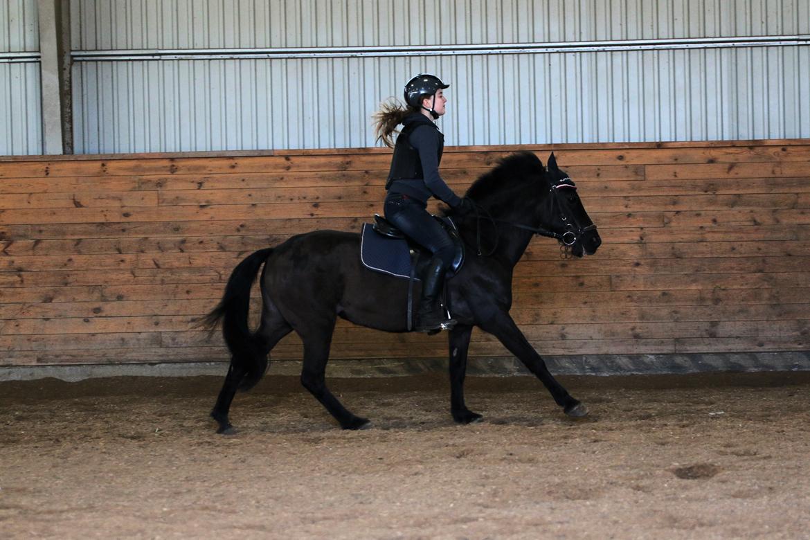 Anden særlig race Black Girl billede 3