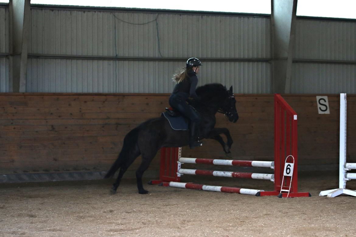 Anden særlig race Black Girl billede 5