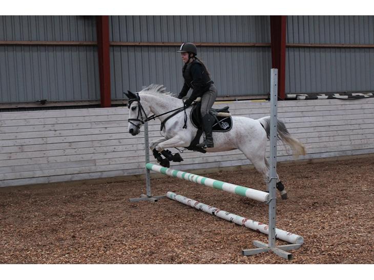 {{currentPhoto.altText}} billede {{currentPhoto.number}}